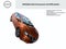2021 Nissan VERSA 4 PTS ADVANCE CVT AAC VE F NIEBLA RA-16